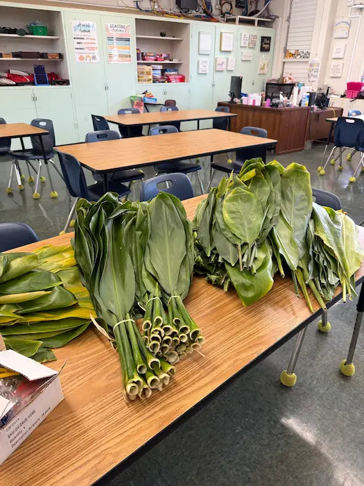 Bundles of green ti leaves, arranged on a wooden classroom table with desks and chairs in the background.