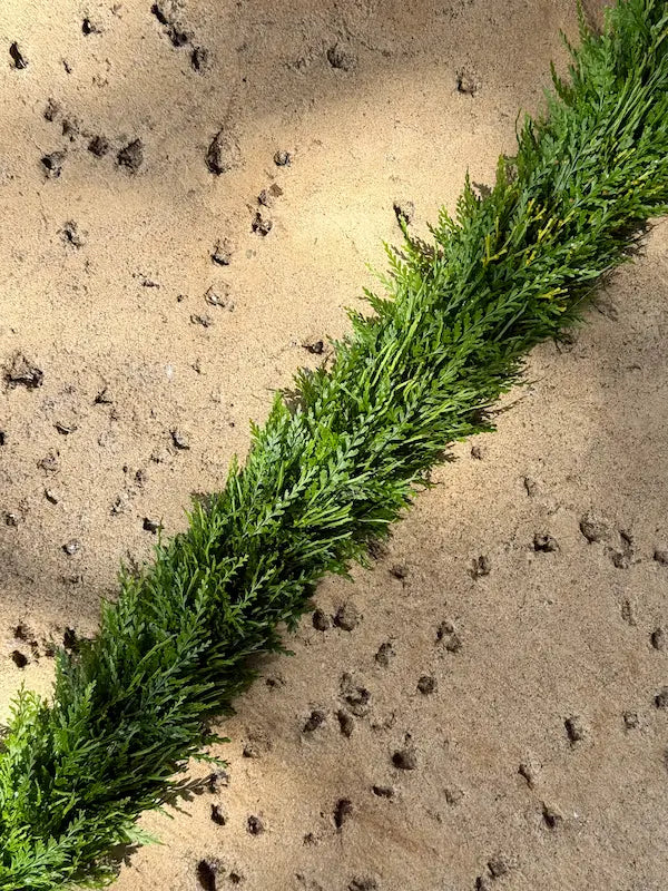 10/18 - Wili by Design: Texture & Foliage