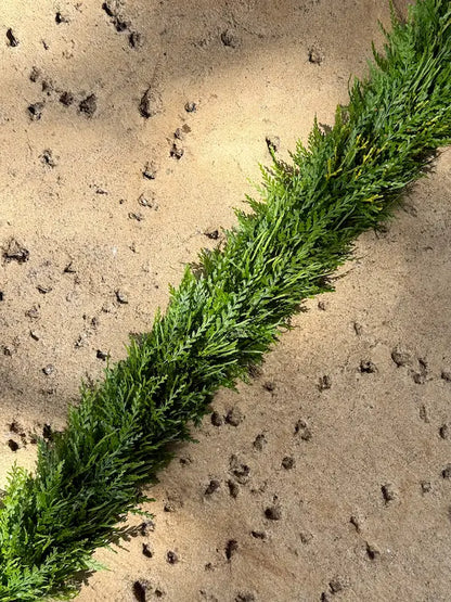 10/18 - Wili by Design: Texture & Foliage